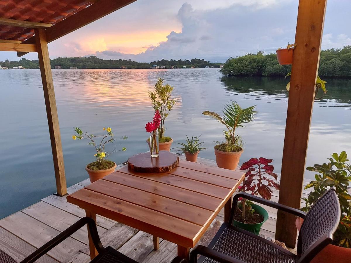 The Sunsetter Bed & Breakfast ボカス・タウン エクステリア 写真