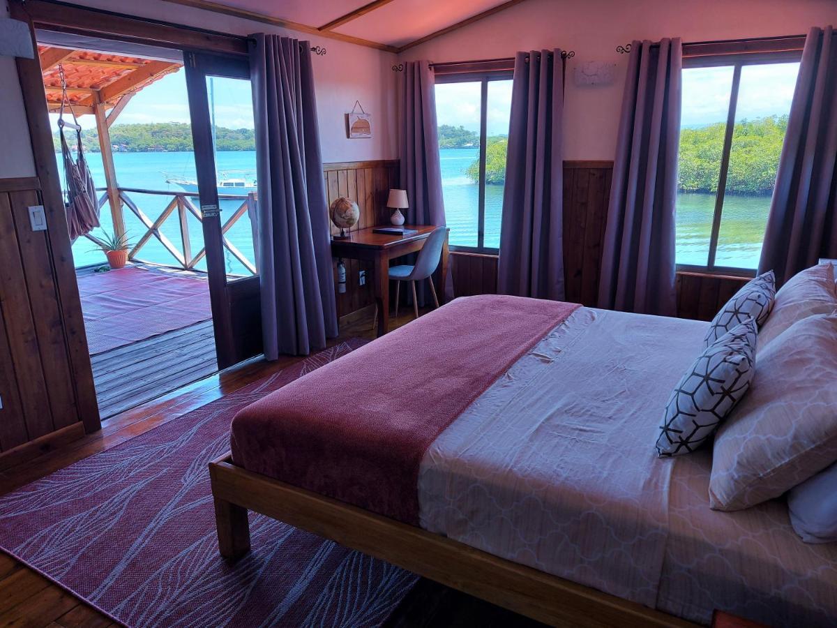 The Sunsetter Bed & Breakfast ボカス・タウン エクステリア 写真