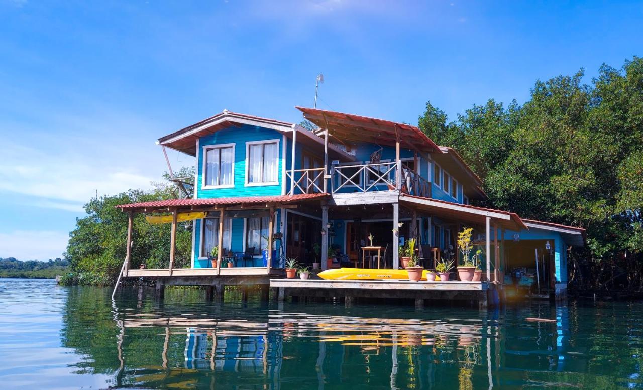 The Sunsetter Bed & Breakfast ボカス・タウン エクステリア 写真